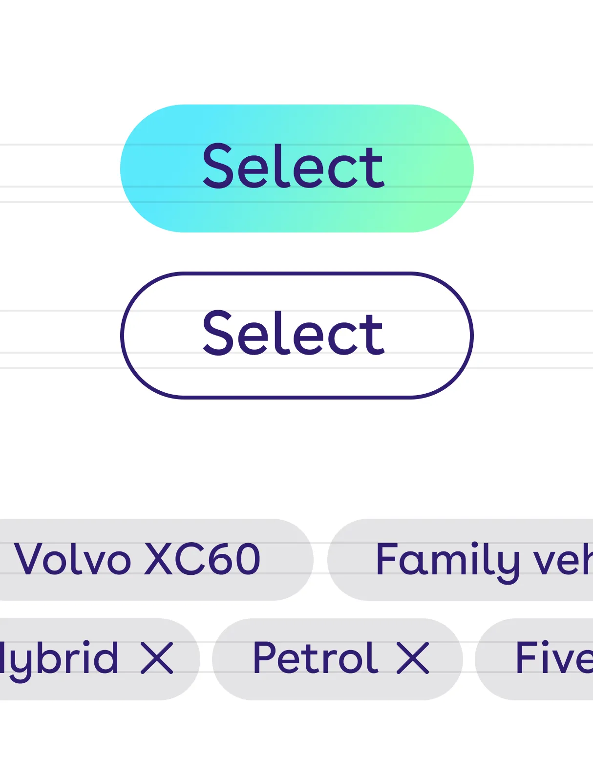cinch interface components: selection buttons and vehicle filter chips.