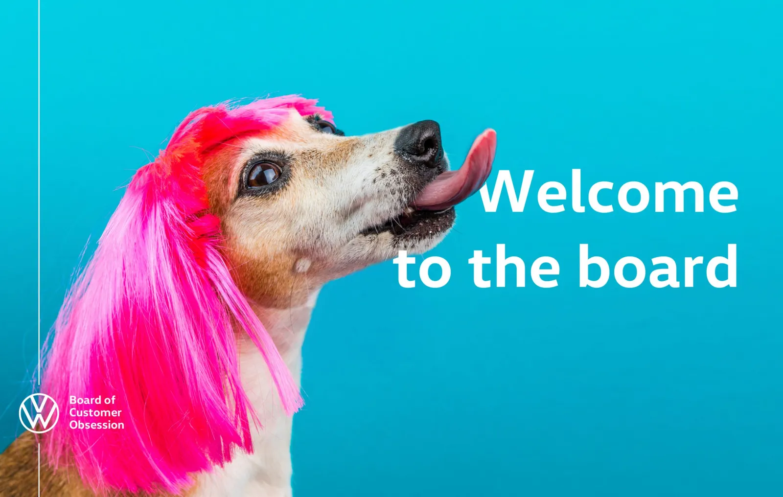 A dog in a pink wig beside the line ‘Welcome to the board’, from the Board of Customer Obsession.